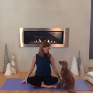 Meet your Posher, Lynn